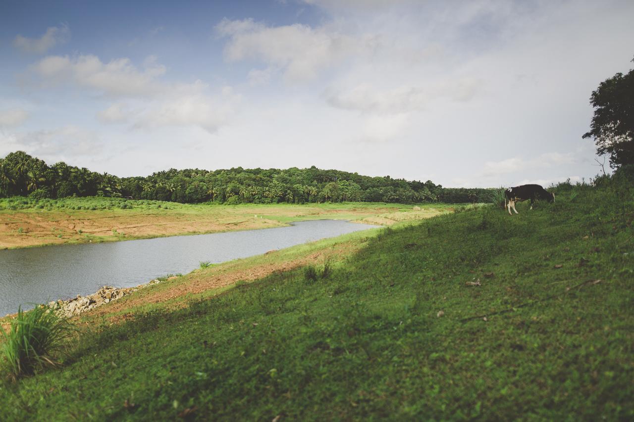 Riverine Springs Wadakkanchery المظهر الخارجي الصورة
